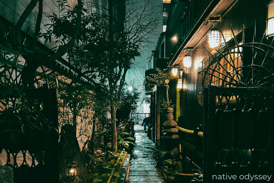 Read more about the article So, I Guess I Slow Travel